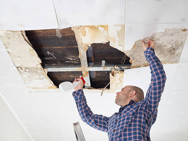 Best Mold Remediation for Healthcare Facilities  in Tahoe Vista, CA